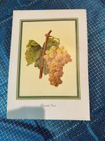 A vendre 12 reproductions d'art de viticulture