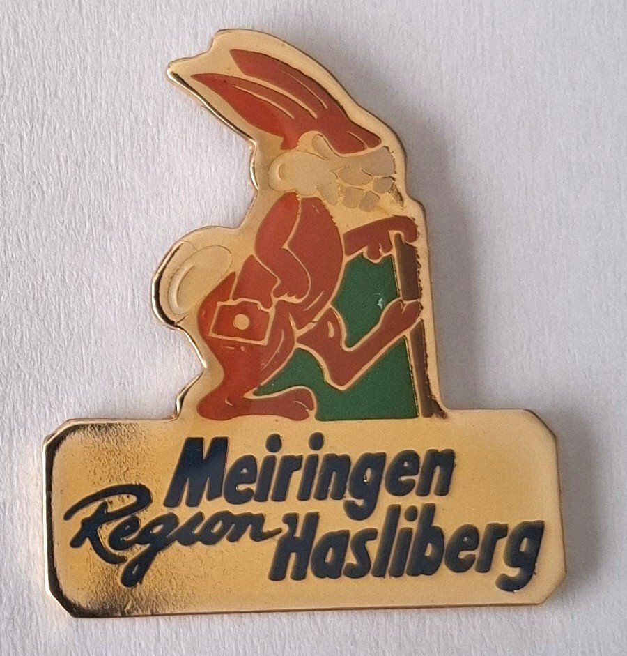 Placchette & Badge: Meiringen Region Hasliberg – Usato da Hinterkappelen venduto da Schampus