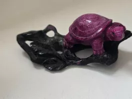 Schildkröte