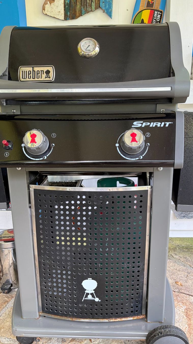 Weber Griglie: Weber Gasgrill SPIRIT – Usato da Maseltrangen venduto da Gugi73 3
