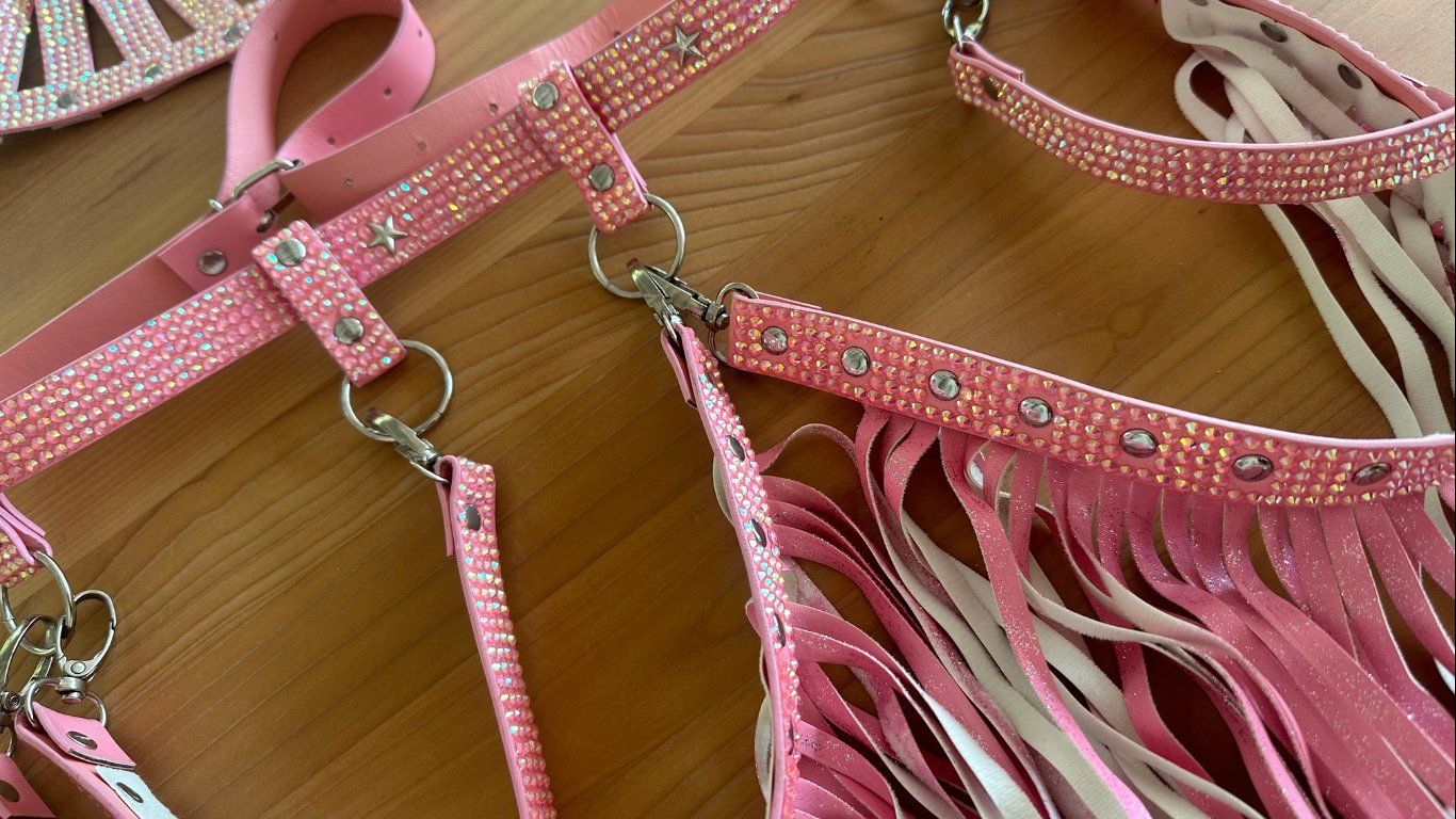 Kostüme: Pinkes Harnischen Set mit Strass un Glitzerfransen – Gebraucht aus Goldau von rkl86 4