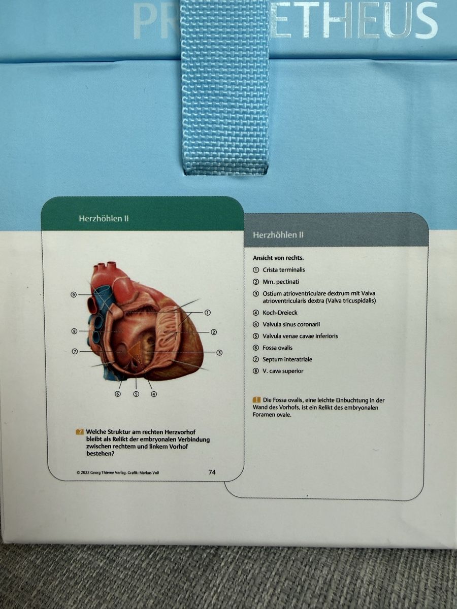 Altro materiale scolastico: Prometheus - LernKarten der Anatomie – Nuovo (secondo la descrizione) da Meilen venduto da mim_bqf7 2