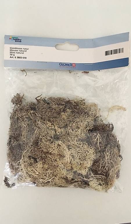 Tinte: Mousse naturel Glorex – Usato da Chavannes-Près-Renens venduto da chr_h9df