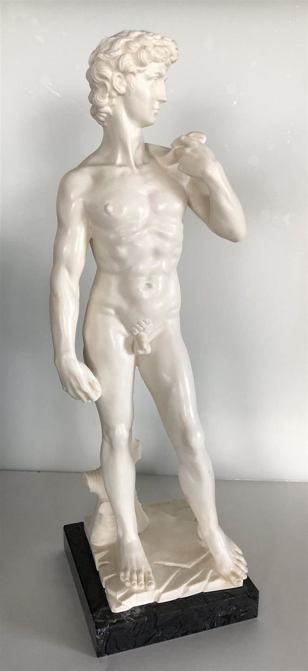 Sculture & Statue: DAVID - nach Vorbild Michelangelo – Nuovo (secondo la descrizione) da Appenzell venduto da Zimiuno 1