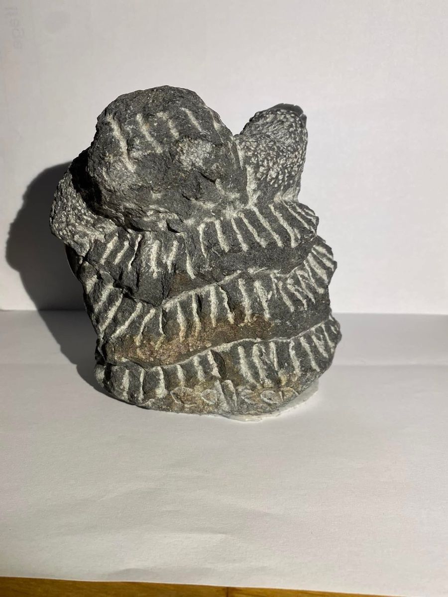 Skulpturen & Statuen: Statut COLLEEN MADAMOMBE  – Neu (gemäss Beschreibung) aus Châtelaine von imi55imi 3