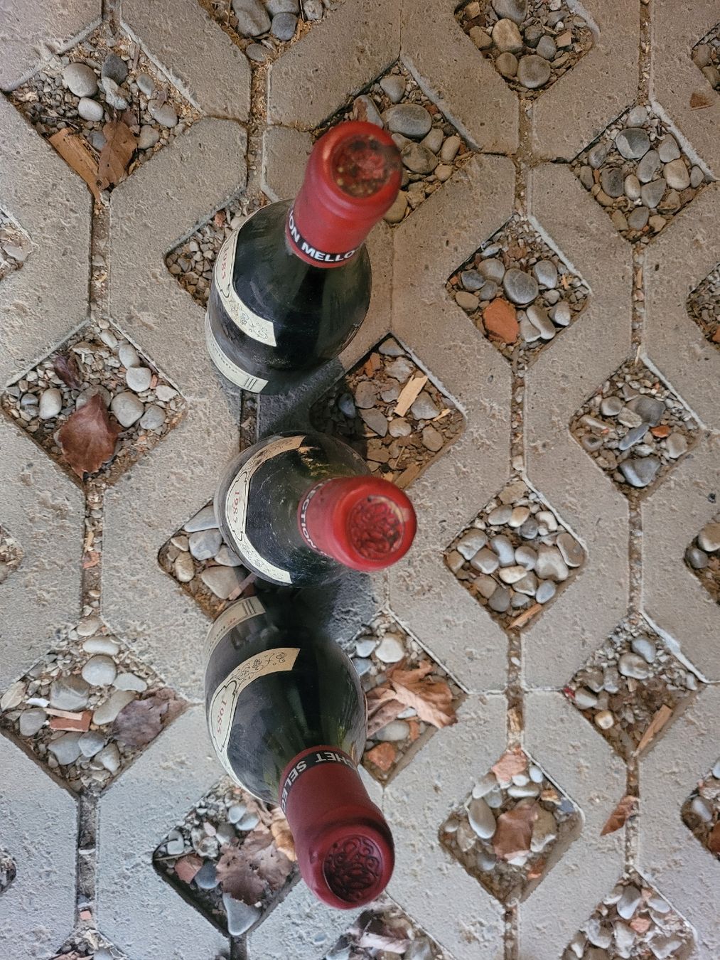 Vino: A vendre Chambolle Musigny 1985 – Usato da Dompierre FR venduto da audrey011113 1