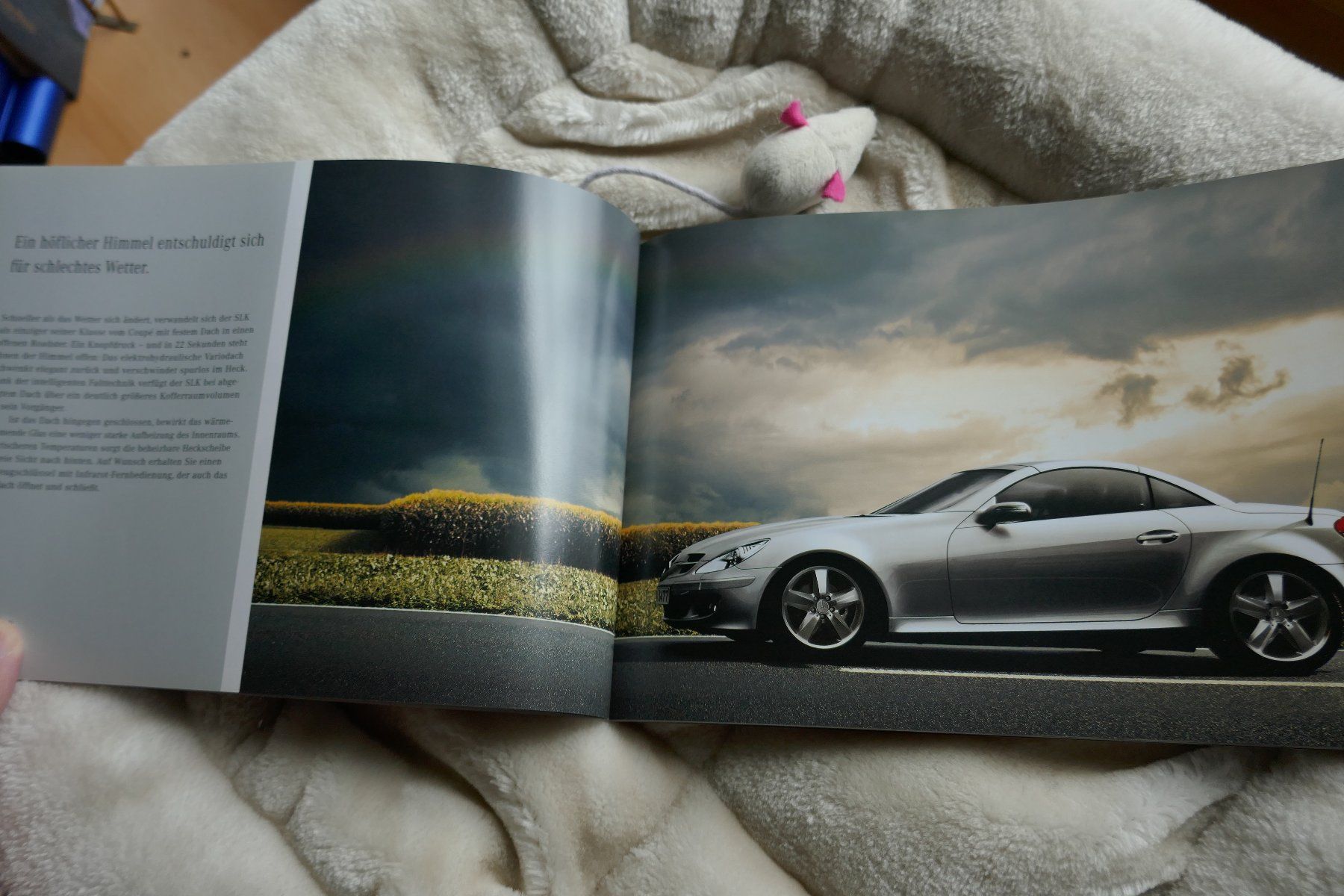 Mercedes-Benz Documenti: Mercedes  SLK,  Originalprospekt – Nuovo (secondo la descrizione) da Madiswil venduto da ML911 4