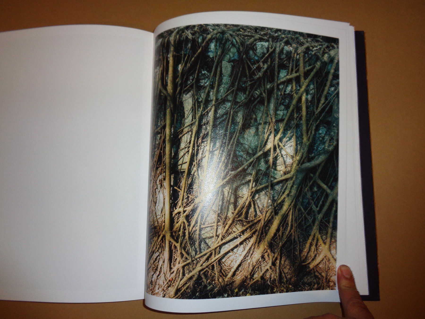 Bücher: APROXIMATE JOY Christopher Anderson foto – Gebraucht aus Welschenrohr von Regool 5
