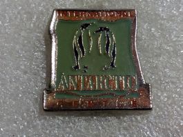 Ansteckpin 216:
