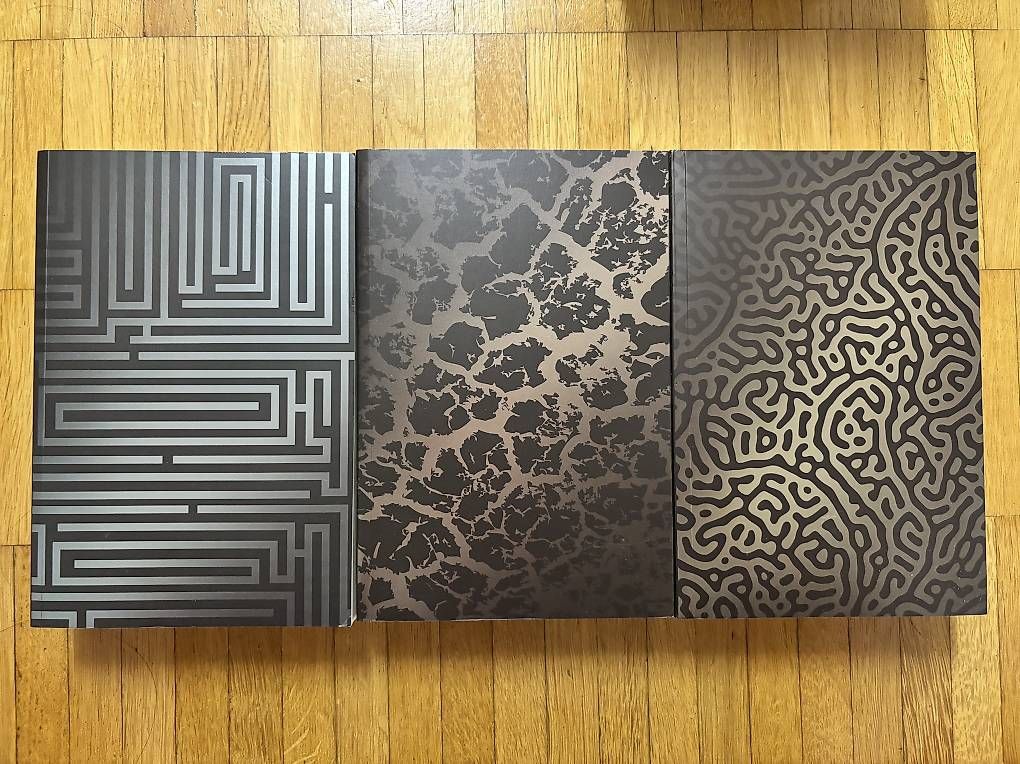 Bücher: Maze Runner Trilogie im Schuber – Gebraucht aus Rüti ZH von smbx3 4