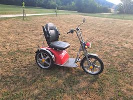 Kyburz classic Dreiradscooder