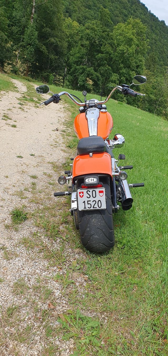 Harley-Davidson Chopper: Harley-Davidson Breakout 117 – Gebraucht aus Seewen SO von DealornoDeal 7
