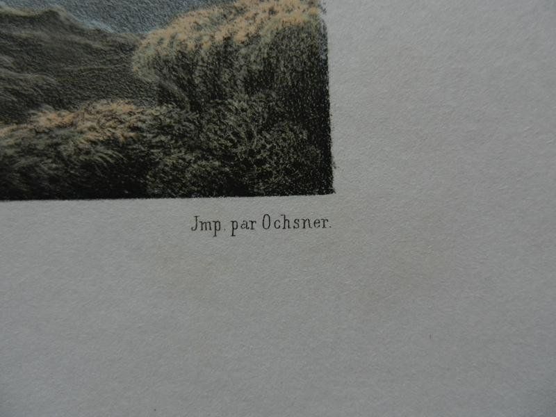 Incisioni: Grimsel getönte Lithographie – Usato da Risch venduto da Rischli15 5