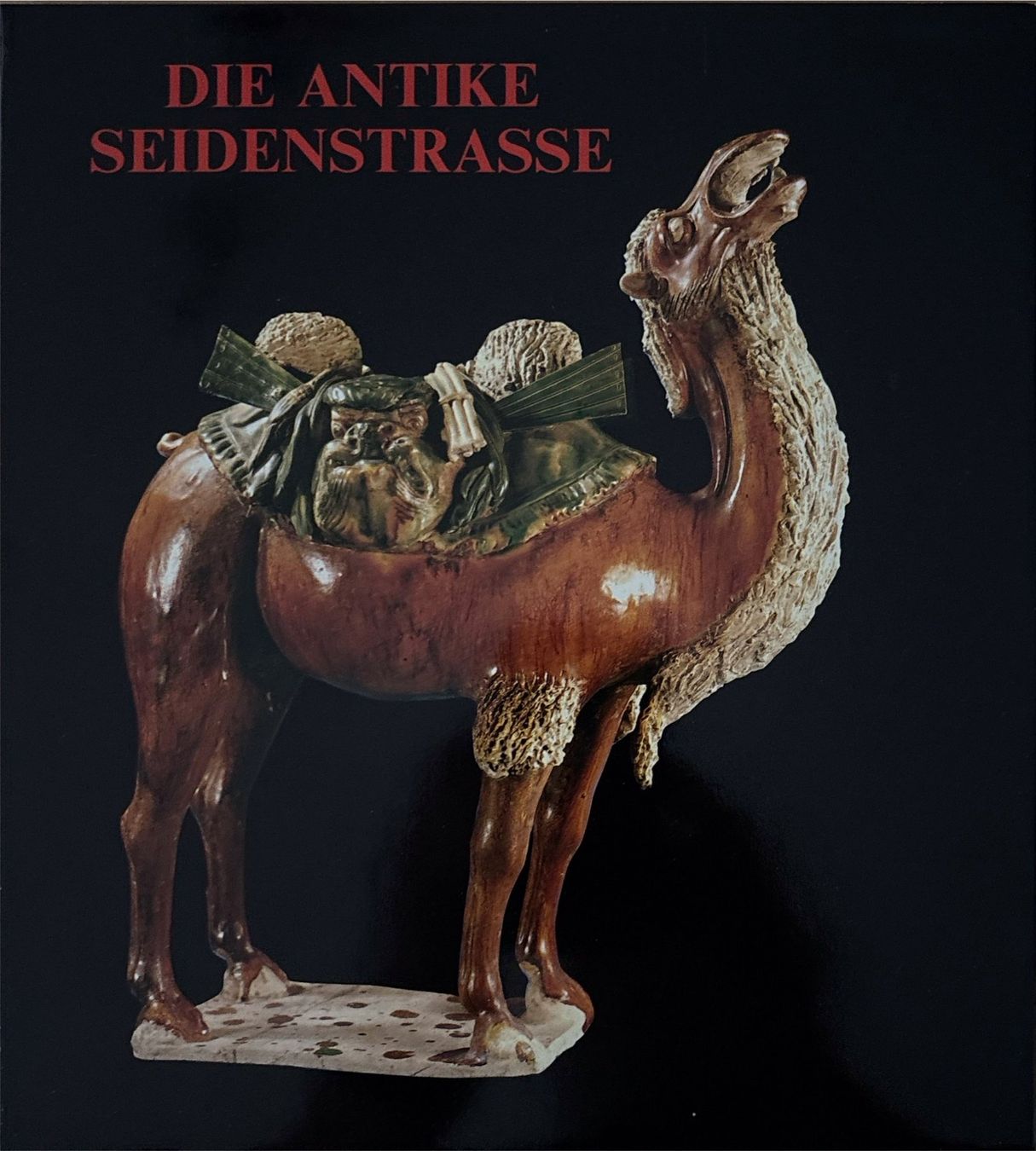 Libri: Die antike Seidenstrasse – Nuovo (secondo la descrizione) da Sarnen venduto da Livres