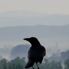 Profile image of vhu_pwl5