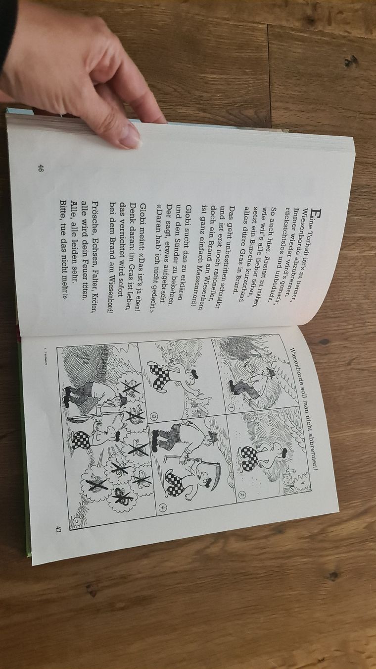Libri: globi bei der feuerwehr – Usato da Wittenbach venduto da Tigerlili 2