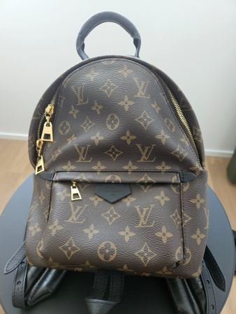 Louis Vuitton Palm Springs Backpack MM