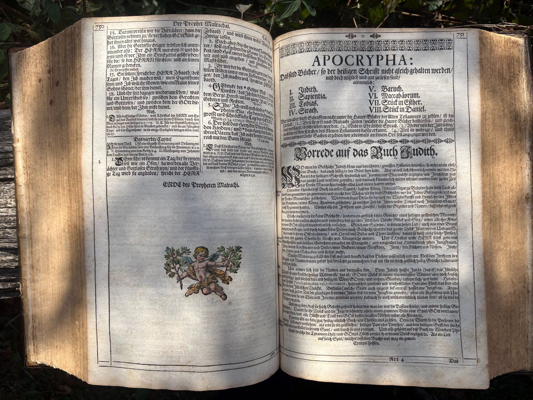 Bücher: Endterische Holzschnitt-Bibel – Gebraucht aus Stüsslingen von Ideur1 7