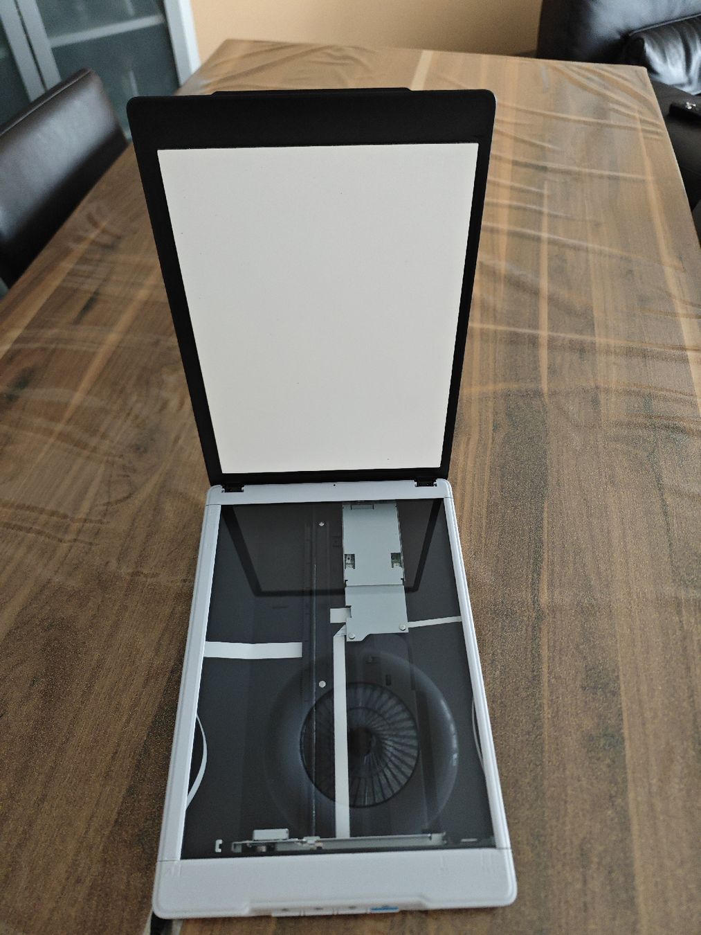 Epson Scanner: Epson Perfection V19 – Usato da Origlio venduto da daveHK101 1