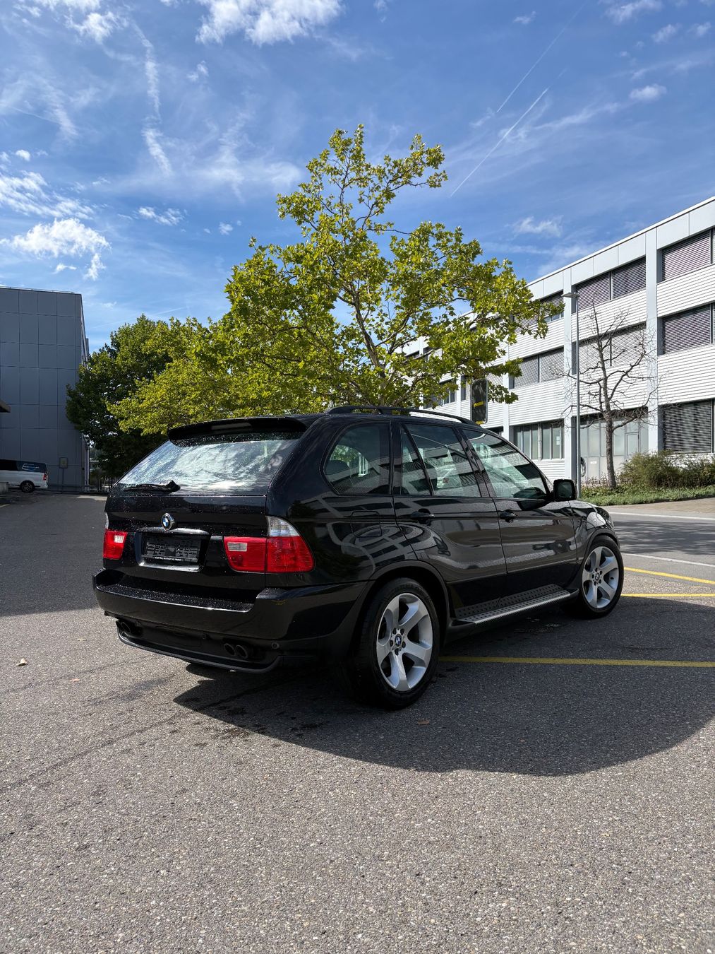 BMW Automobili: X5 V8 Frisch Mfk – Usato da Obfelden venduto da str_bvx2 4