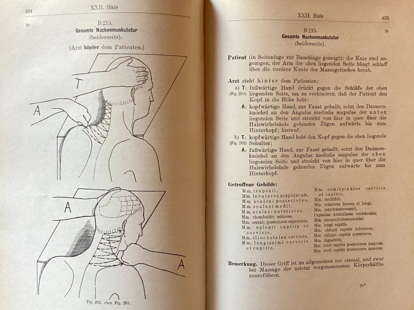 Libri: Lehrbuch der Massage, A. Müller, Technik undTheorie – Usato da Ronco sopra Ascona venduto da R66sA22 5