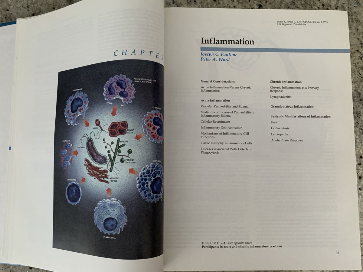 Libri: Pathology 2nd Edition Rubin & Farber Textbook – Usato da Genève venduto da sunsustains 8