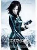 Tutti i DVDs: Underworld Evolution DVD – Usato da Olten venduto da Disc-Verkauf