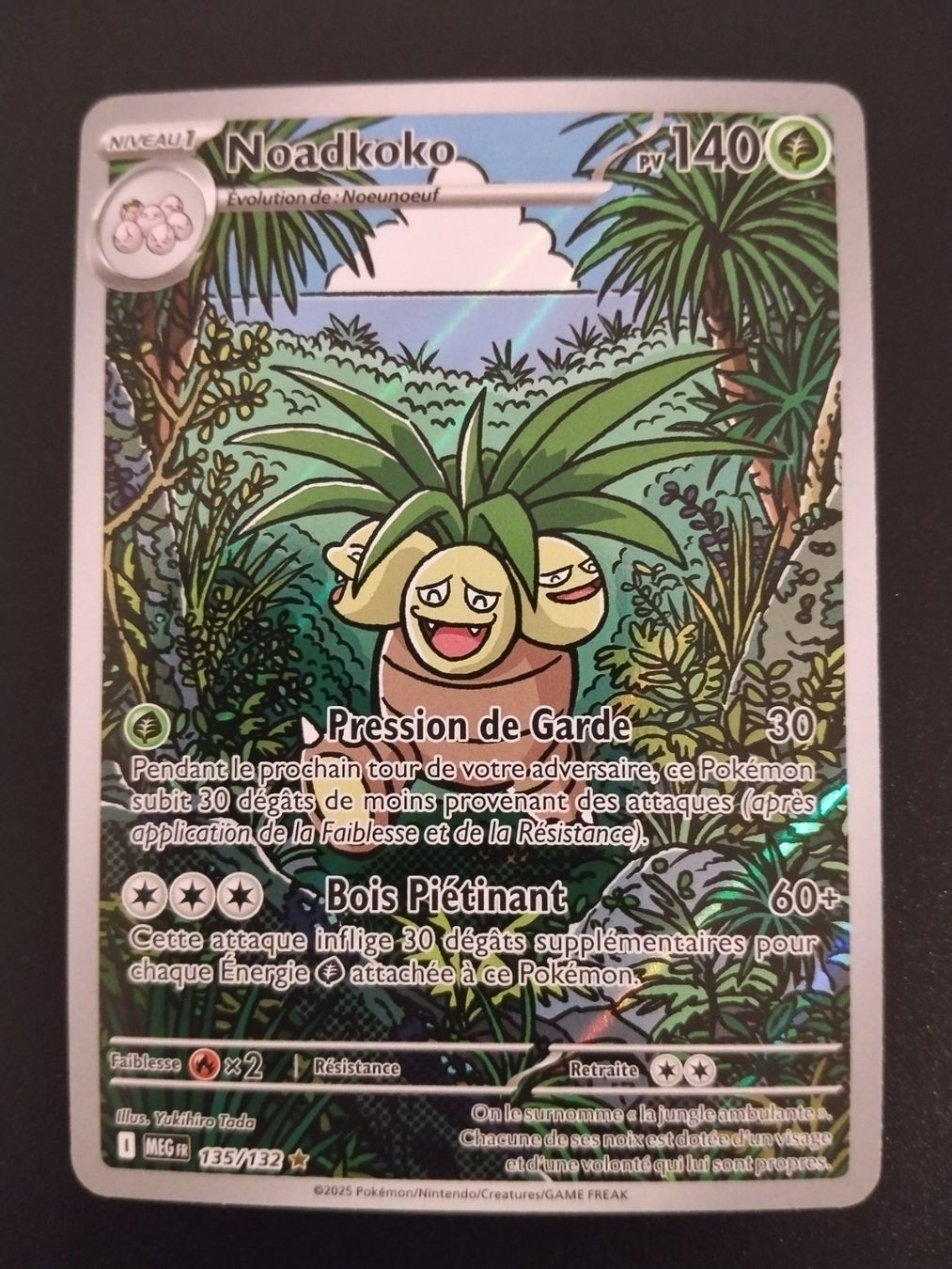 Pokémon Carte collezionabili: Pokémon Méga-Evolution: Noadkoko 135/132 FR – Usato da Palézieux-Village venduto da oufoux08