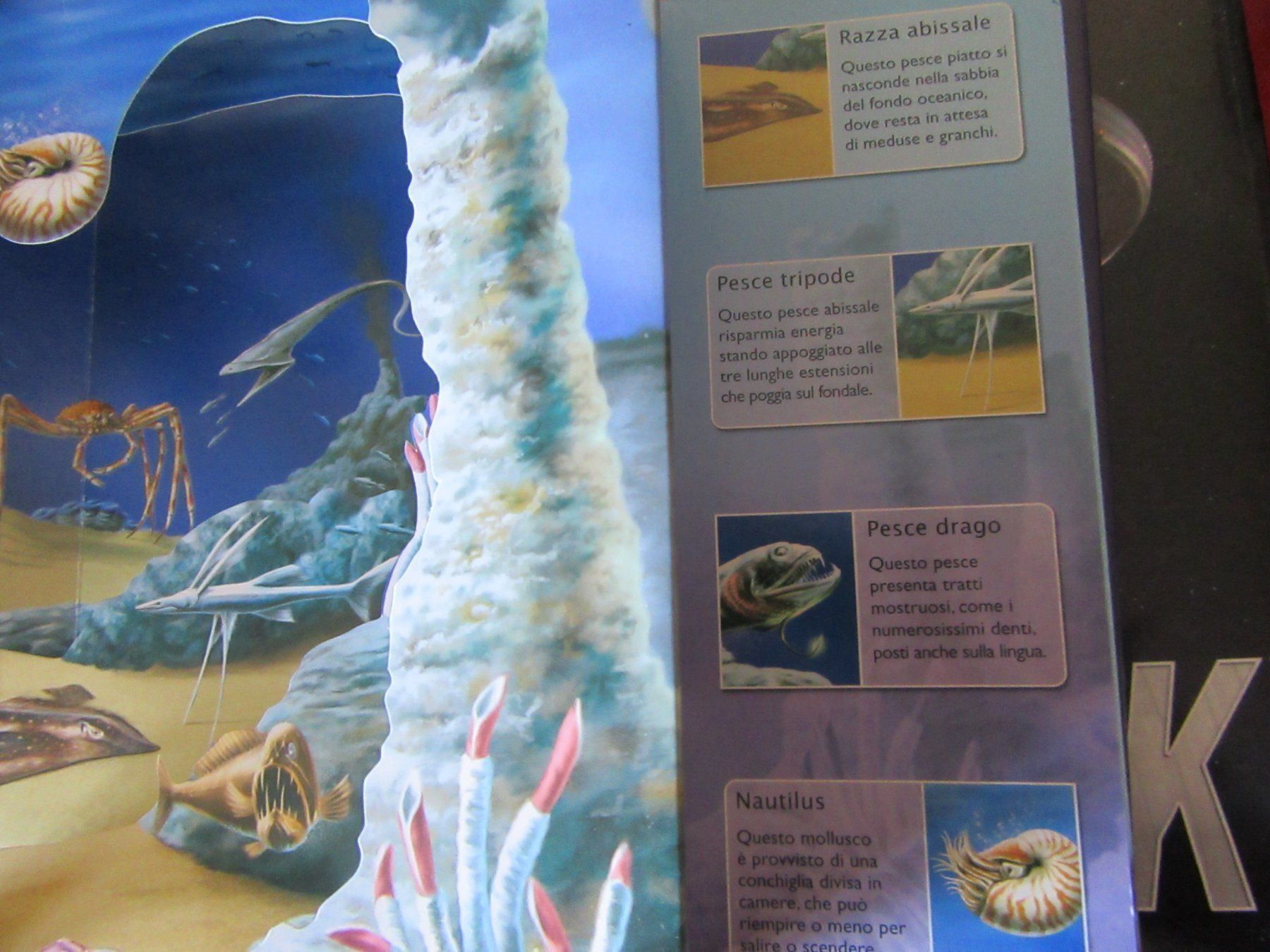 Libri: Pop - Up Buch Scenari 3D Oceani – Usato da Rüdtligen venduto da Carfield04 5