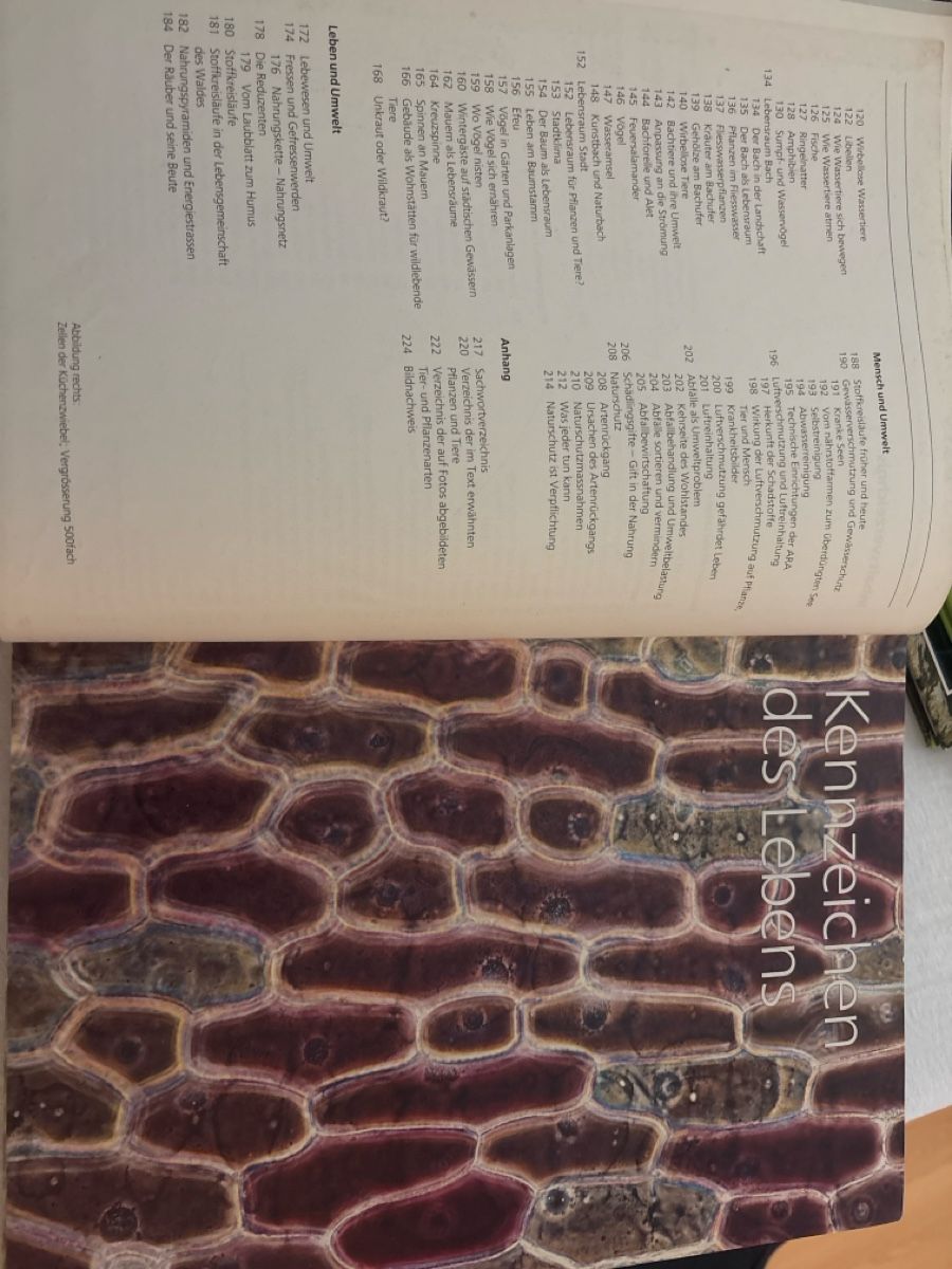 Livres: Biologiebuch – D'occasion à Buchs ZH par els_mgj9 3