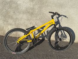 Trial Inspired Element 24’’