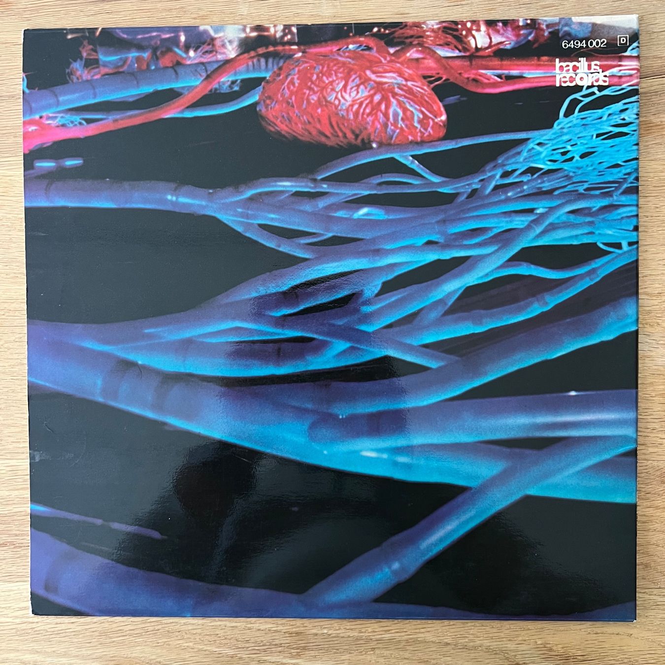 Dischi in vinile: Hairy Chapter - Can't Get Through / 1. D-Press. 1971 - TOP – Usato da Gais venduto da soundcave57 1