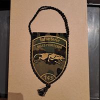 Wimpel Infanterie 143
