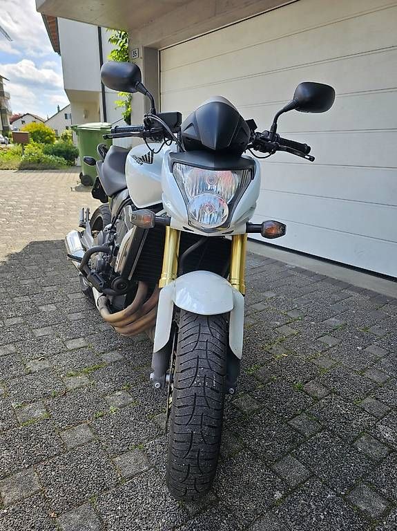 Strada: Honda CB600F Hornet – Usato da Reinach AG venduto da Pajak 3