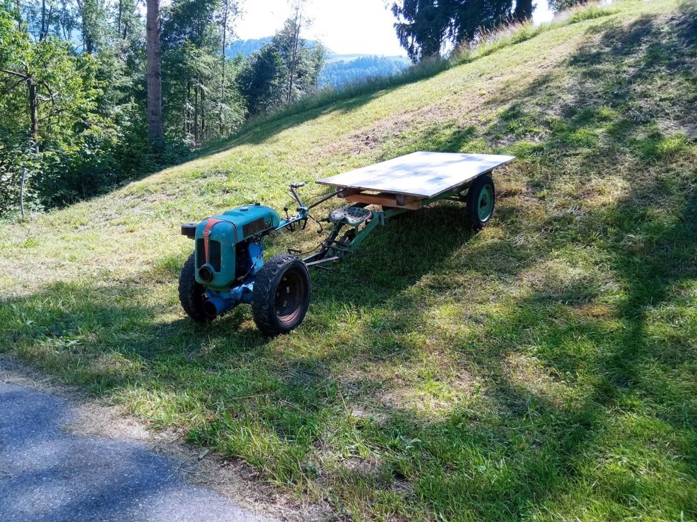 Rapid Super Kaufen auf Ricardo