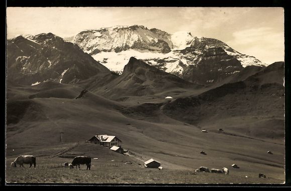Cartoline postali: Adelboden-Lenk, Hahnenmoos-Pass, Ortsans – Usato da Berlin venduto da bartko-reher