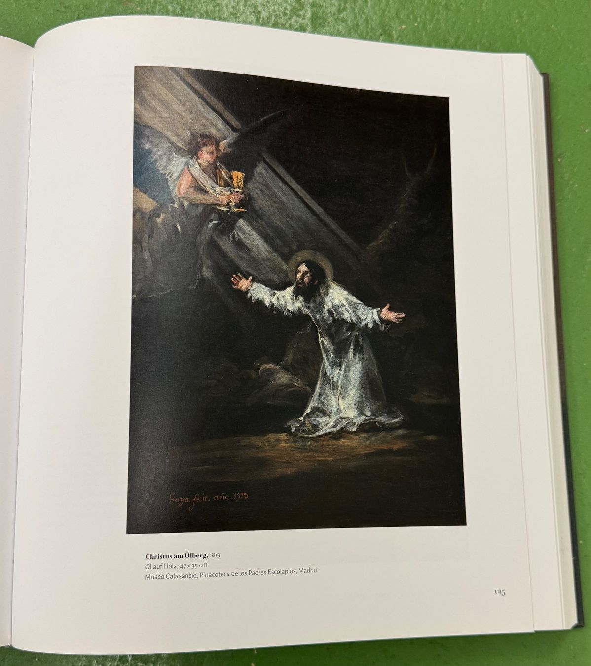 Bücher: Fondation Beyeler: Francisco de Goya – Gebraucht aus Basel von Ostschweiz06 8