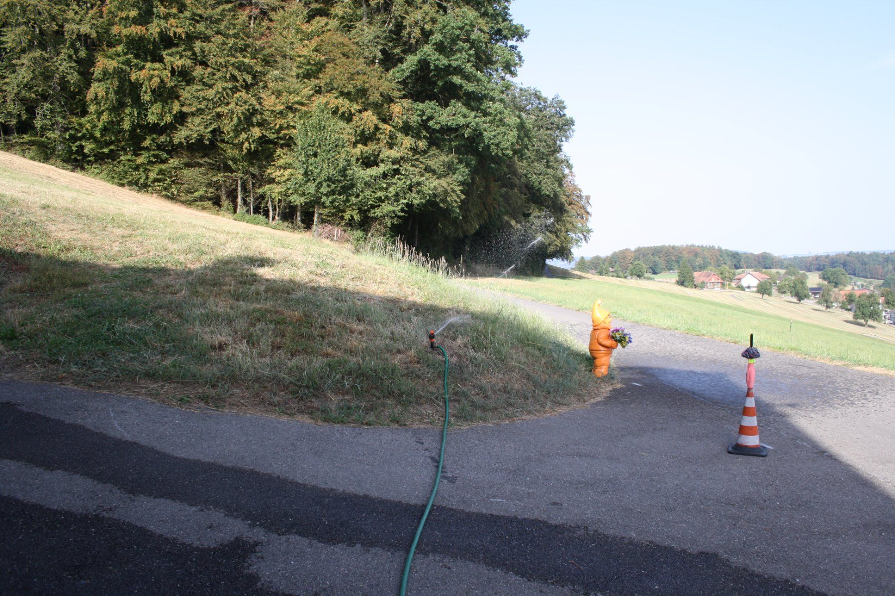 Tecnologia medica: RASENSPRENEGER GARTENSPRENEGER – Usato da Wauwil venduto da Pneuedy 3