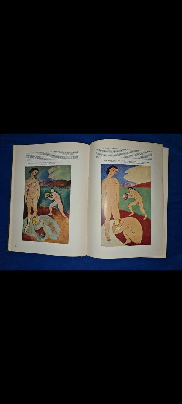 Libri: Histoire de la peinture moderne – Usato da Cortaillod venduto da signep 9
