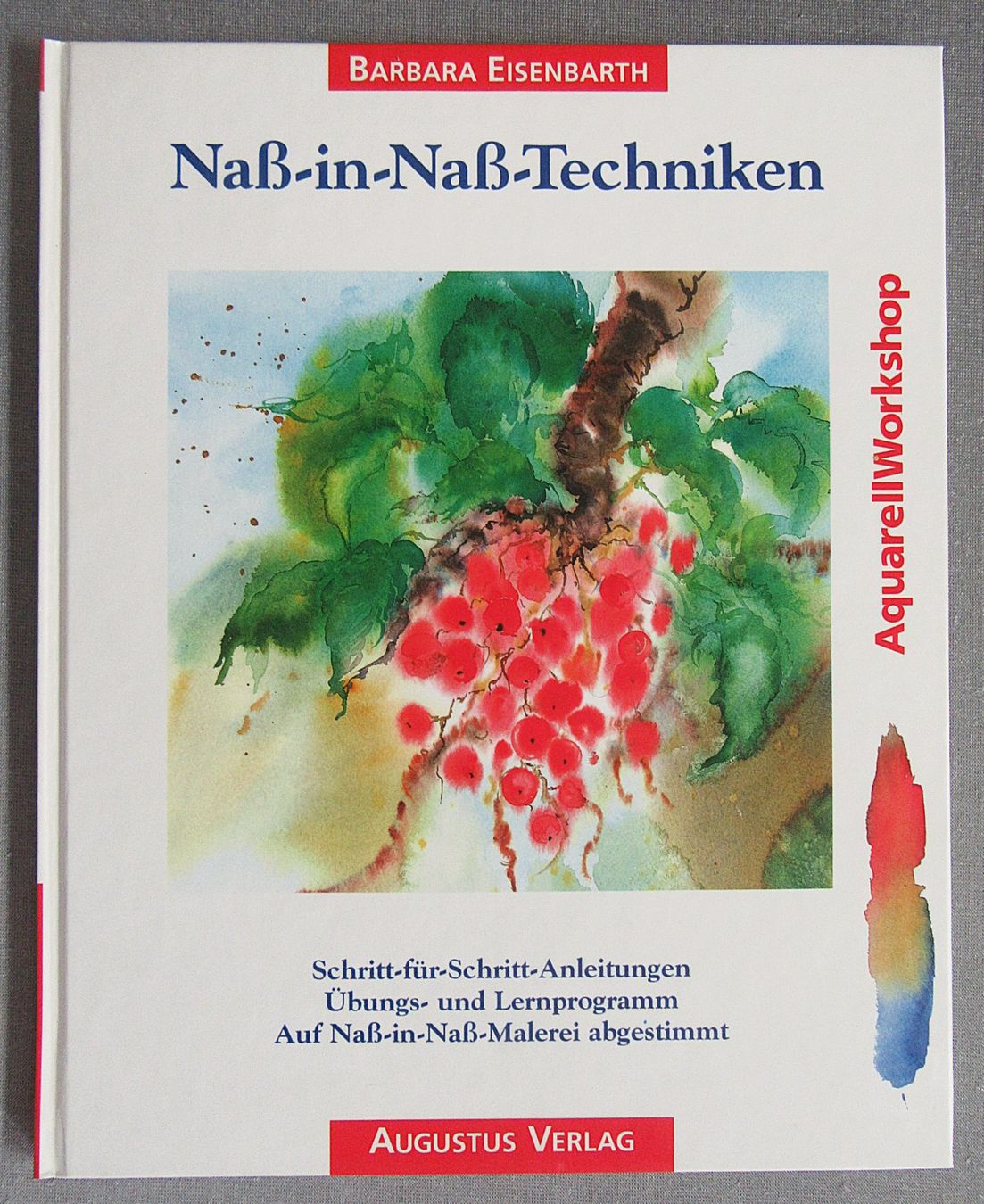 Libri: Nass-in-Nass Techniken • Aquarell Workshop – Usato da Auenstein venduto da Padabimbim
