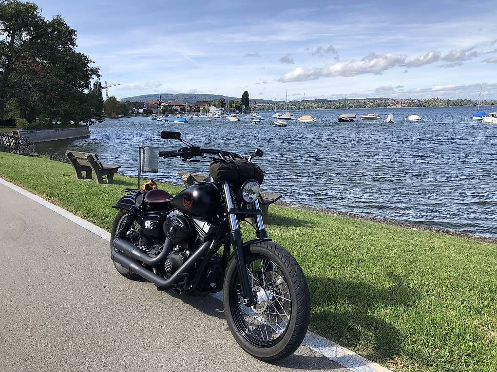 Cruisers: Harley Davidson Dyna Street Bob  – D'occasion à Beringen par Suni8 1