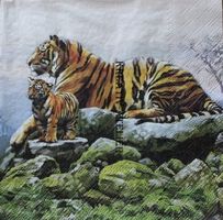 Serviette tigers (1271) 2Stk.