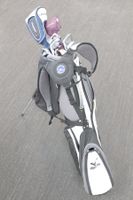 Golfset - 10 Schläger Callaway / Cleveland ONOFF /Mizuno Bag