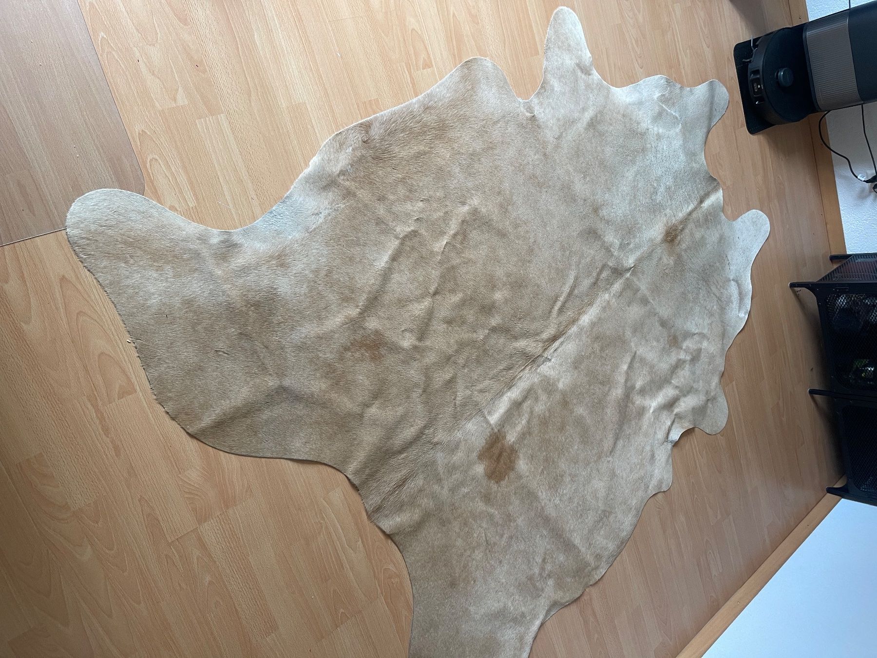 Teppiche: Tapis peau de vache – Gebraucht aus Cortébert von Caryl29