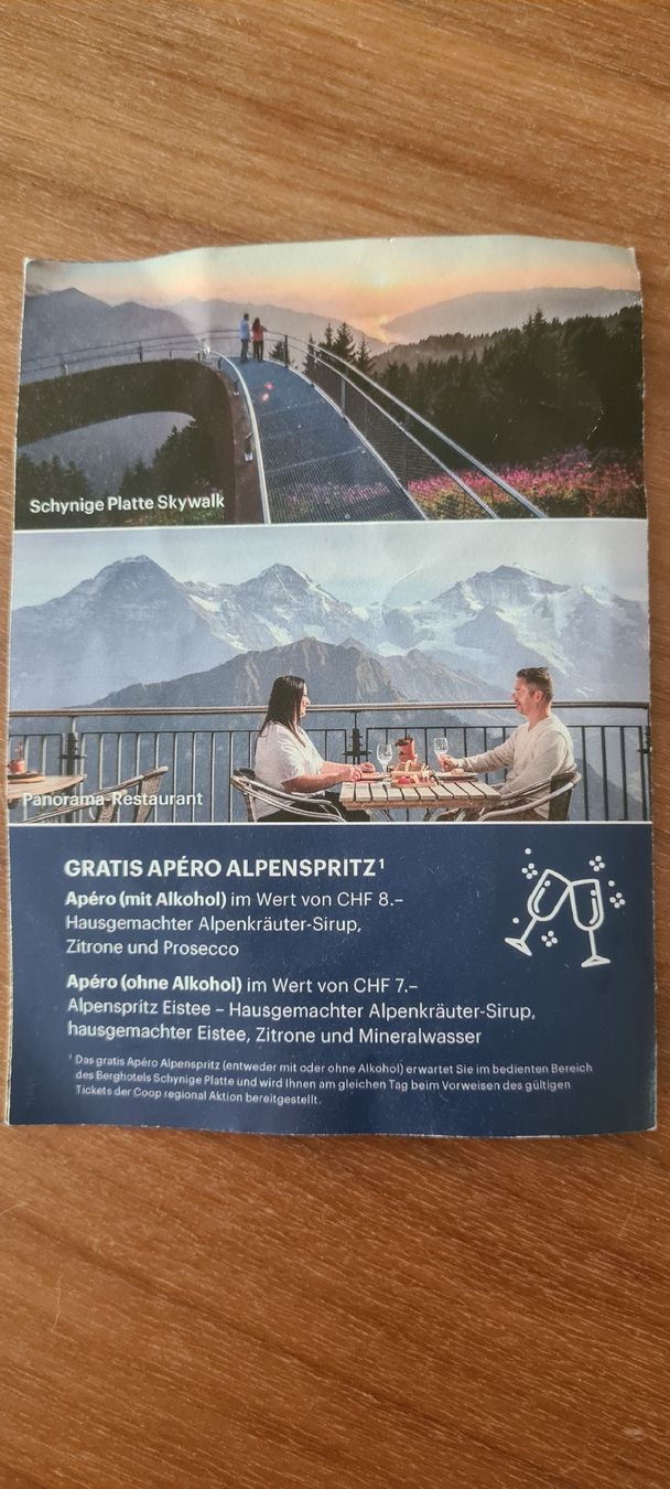 Buoni: Schynige Platte Flyer mit 30% Rabatt  – Nuovo (secondo la descrizione) da Bern venduto da ocraM82 1