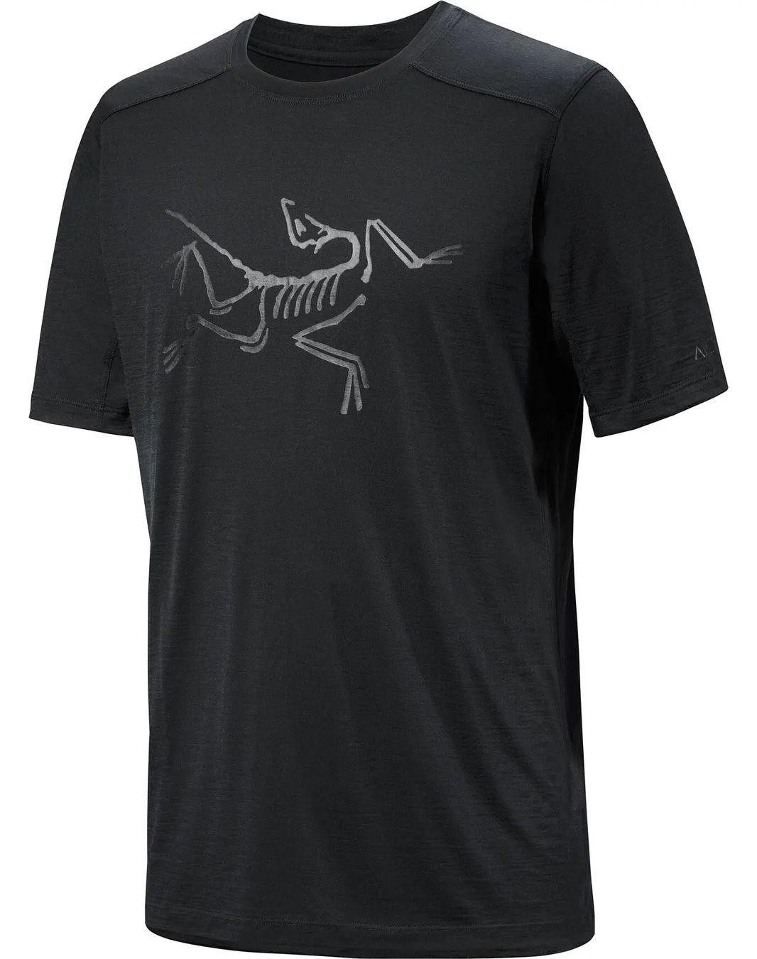 Arcteryx T-shirts: Arcteryx Lonia Merino – D'occasion à Rickenbach LU par Totoro14 1
