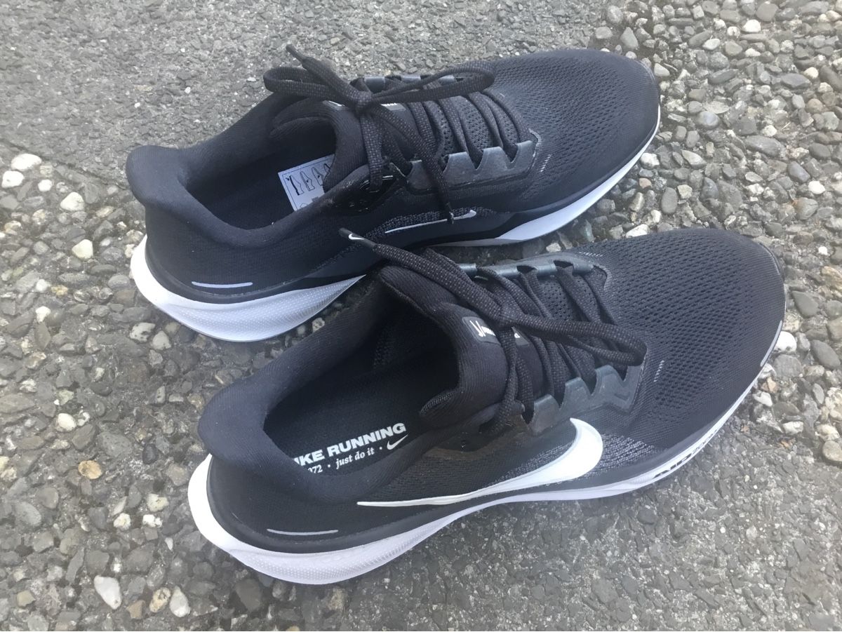 Nike Herrenschuhe: AIR ZOOM PEGASUS 41 – Neu (gemäss Beschreibung) aus Heiden von zifly 3