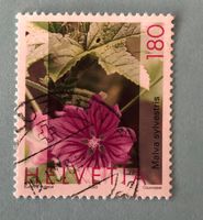 Nr.1078 Wilde Malve,Käslikraut GESTEMPELT   ﻿ 