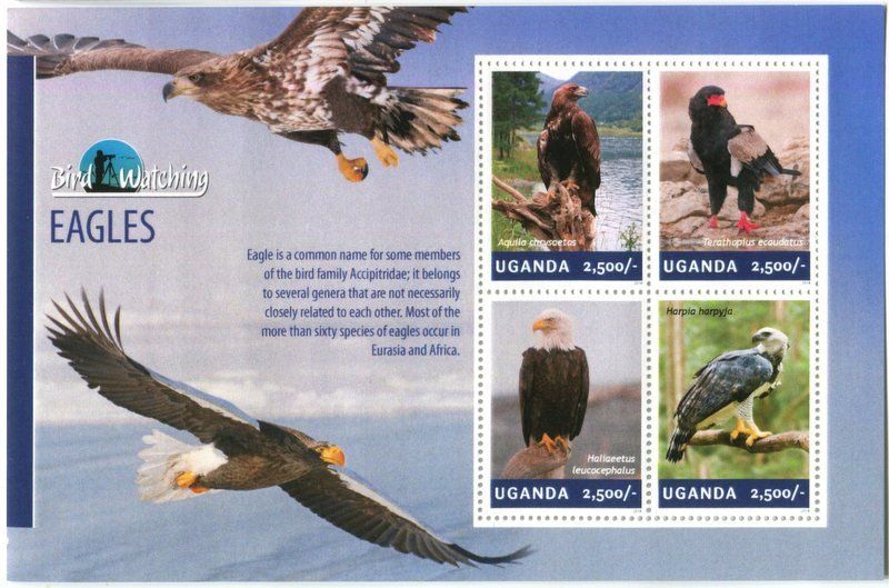 Tutti i francobolli: Block "Weisskopfseeadler, Harpyie, Steinadler". Uganda – Nuovo e nell'imballaggio originale da Basel venduto da Butsch5
