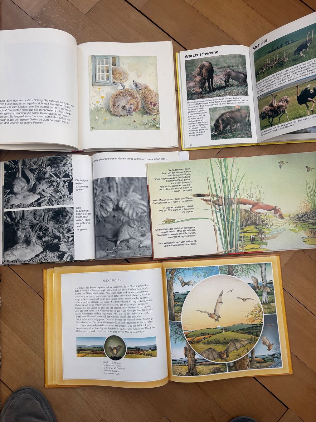 Bücher: 5 Tierbücher für Kinder – Gebraucht aus Wetzikon ZH von Bimbo33 1